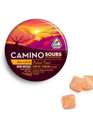 Camino Orchard Peach 10:10 CBD Sleep Gummies