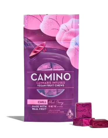 Camino 10mg Chill Black Cherry