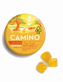 Camino Mango Serenity CBD Gummies