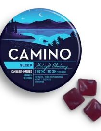 Camino Midnight Blueberry Sleep Gummies