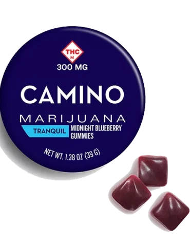 Camino Midnight Blueberry High Dose Gummies
