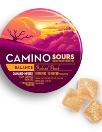 Camino Sours Orchard 10-10 CBD Sleep