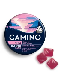 Camino Wild Berry Chill Gummies