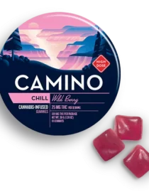 Camino Wild Berry High Dose Chill Gummies