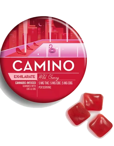 Camino Wild Cherry CBG Exhilarate Gummies