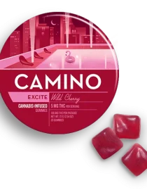 Camino Wild Cherry Excite Gummies